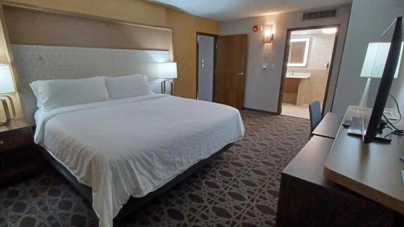בית מלון כפרי Holiday Inn   Mcallen   Medical Center Area, An Ihg