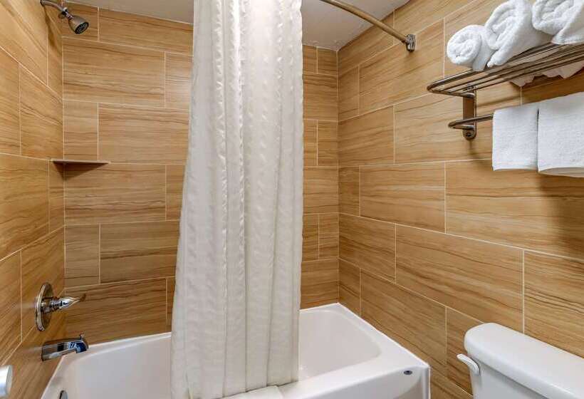 هتل Econo Lodge North Charlottesville