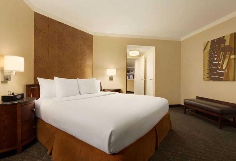 Отель Embassy Suites By Hilton Austin Downtown South Congress