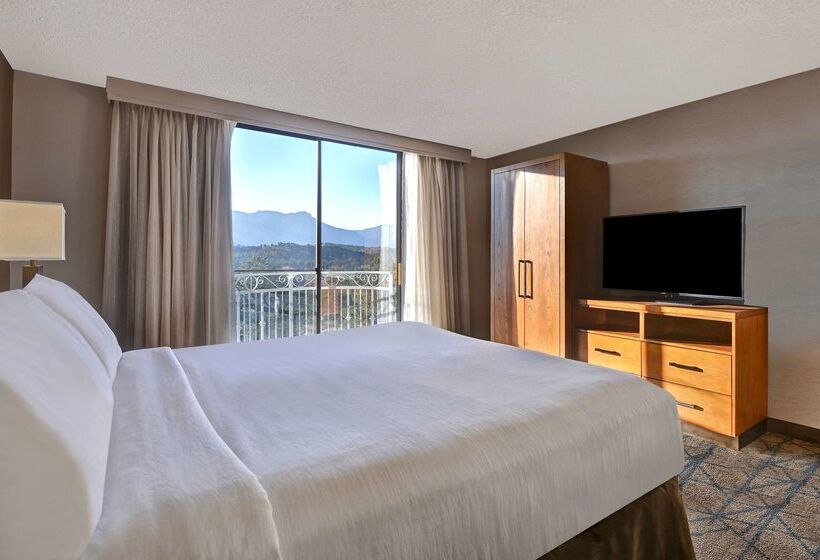 هتل Embassy Suites By Hilton Colorado Springs
