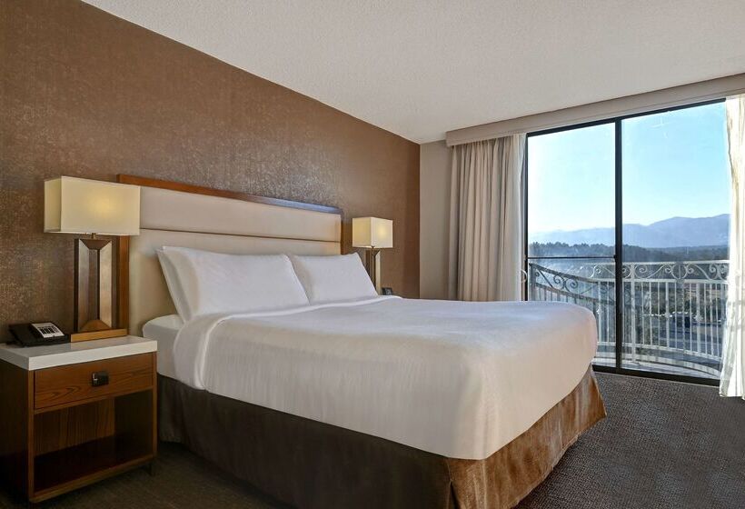 هتل Embassy Suites By Hilton Colorado Springs