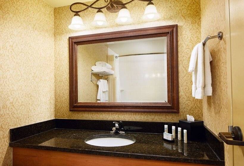 هتل Embassy Suites By Hilton Columbia Greystone