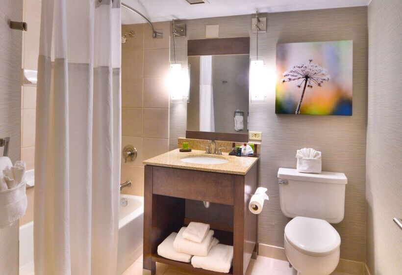 هتل Embassy Suites By Hilton Denver Central Park