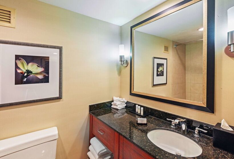 هتل Embassy Suites By Hilton Greensboro Airport