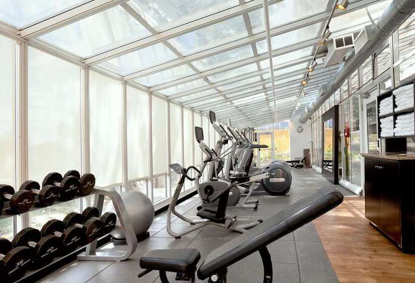 هتل Embassy Suites By Hilton San Francisco Airport Waterfront