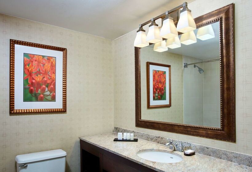 בית מלון כפרי Embassy Suites By Hilton Parsippany