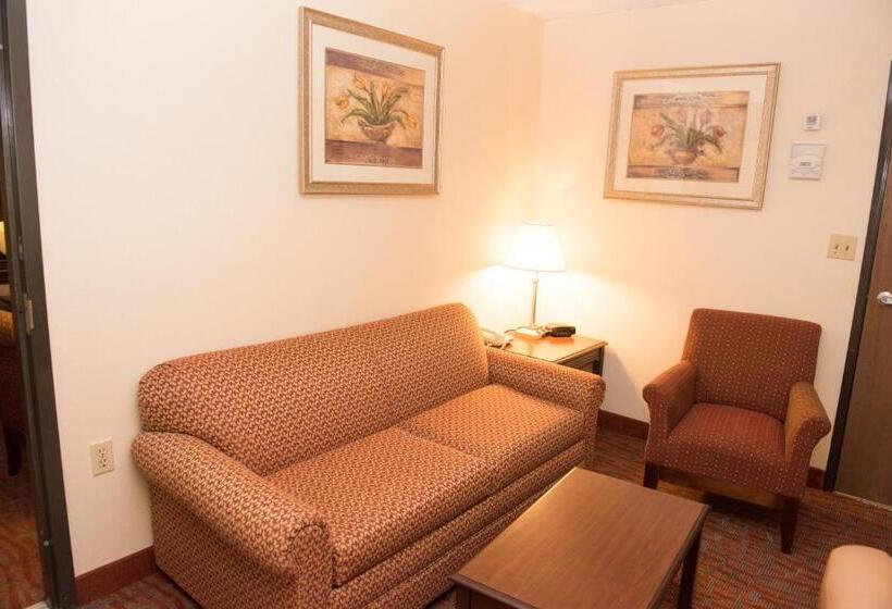 فندق Mho Inn And Suites
