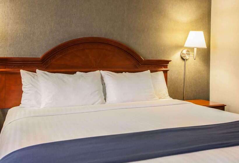 Отель Quality Inn & Suites St Charles West Chicago