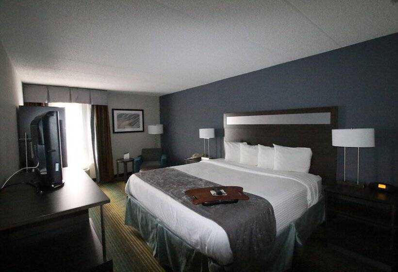 酒店 Best Western O Hare/elk Grove