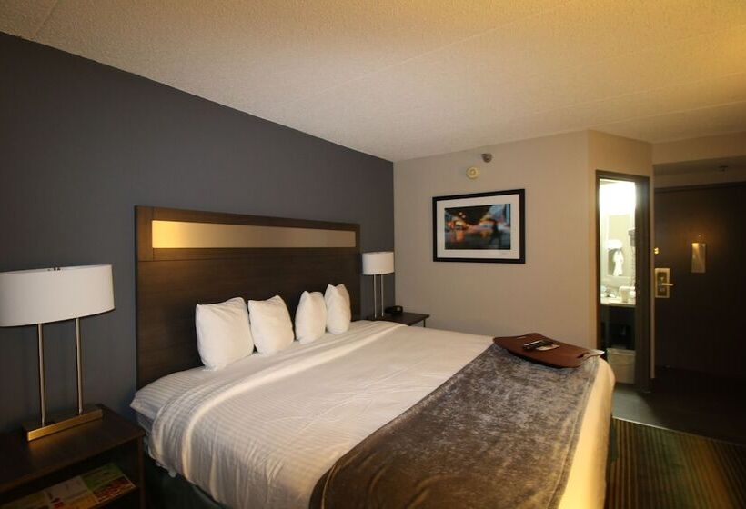 酒店 Best Western O Hare/elk Grove