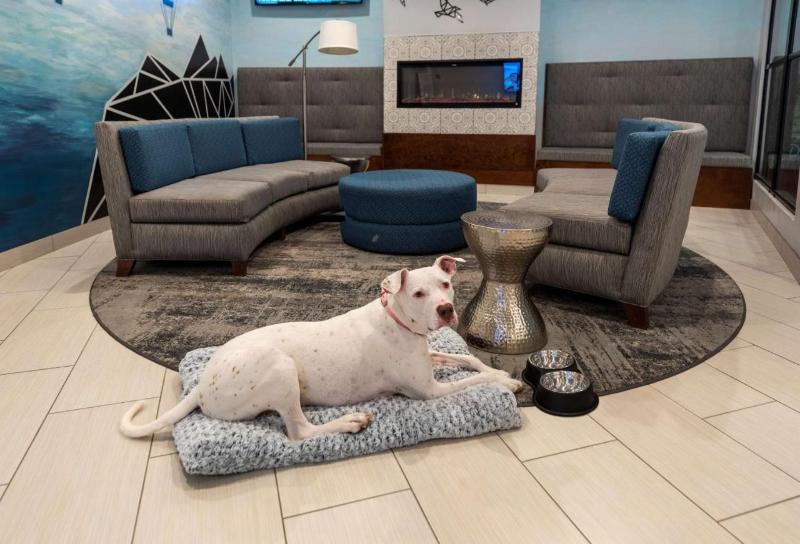 هتل Best Western Plus Wausau Tower Inn