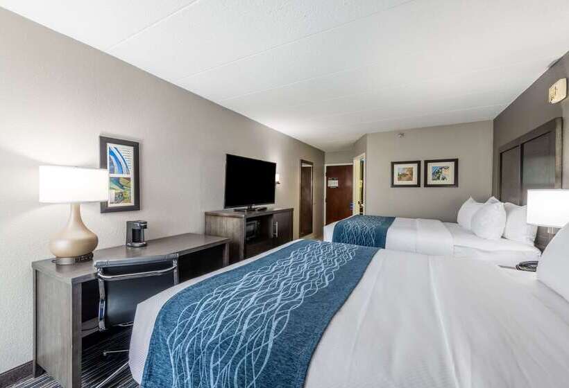 هتل Comfort Inn Chicago Schaumburg  O Hare Airport