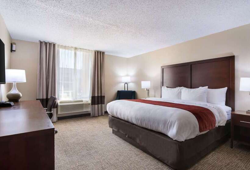 酒店 Comfort Inn