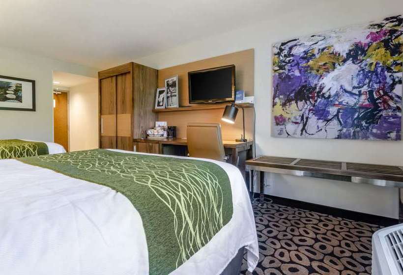 בית מלון כפרי Comfort Inn Raleigh Midtown