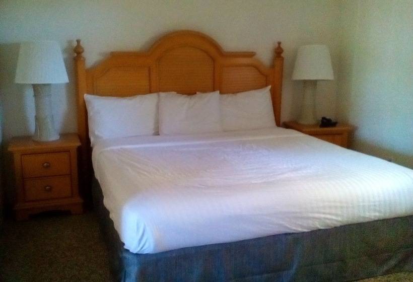 فندق Dockside Inn & Resort