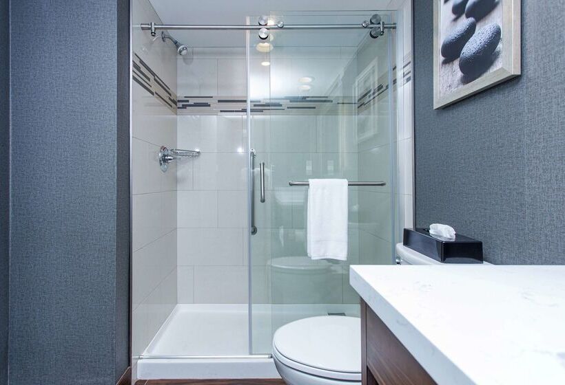 هتل Doubletree By Hilton Appleton