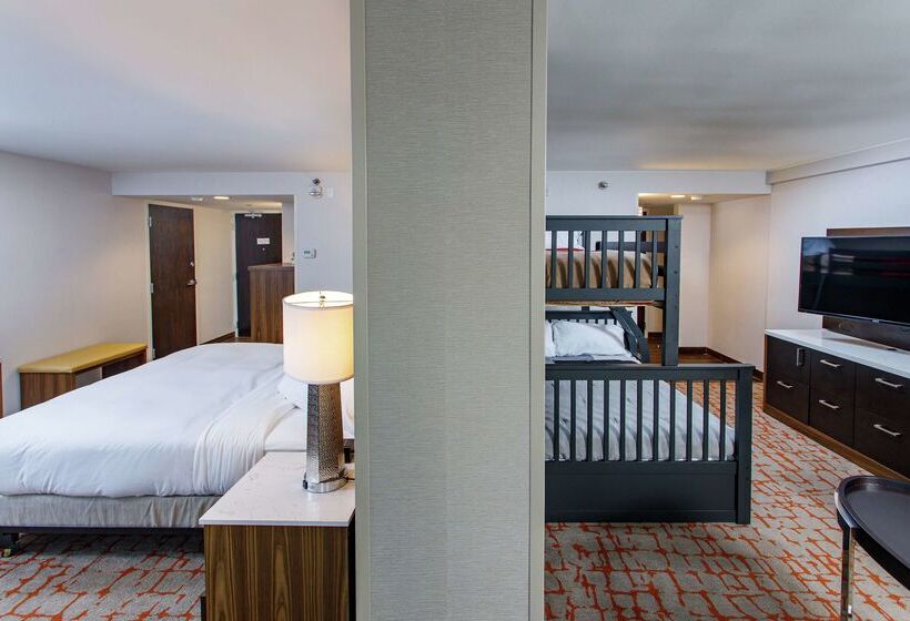 هتل Doubletree By Hilton Appleton