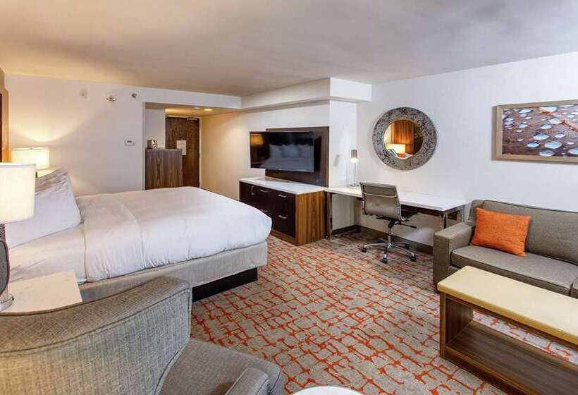 هتل Doubletree By Hilton Appleton