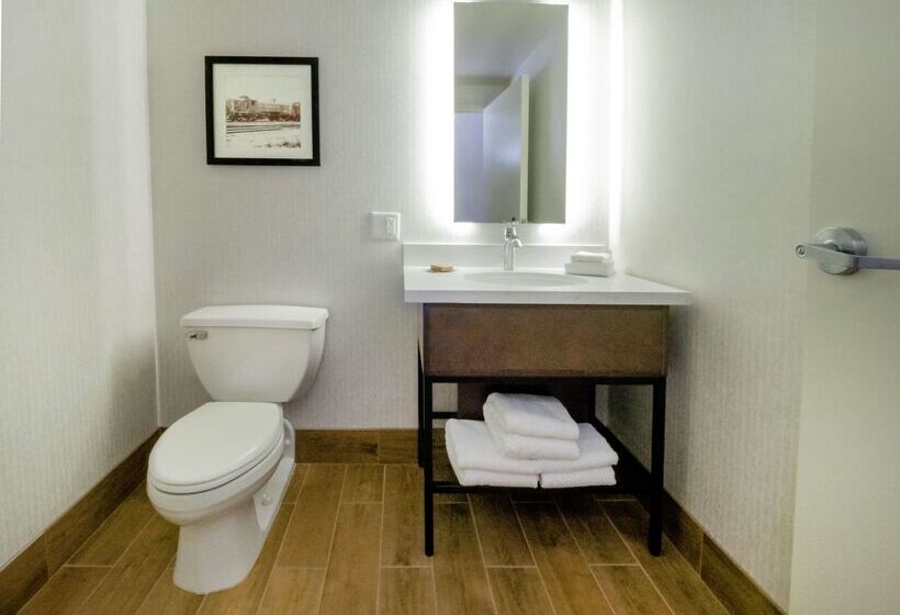 هتل Doubletree By Hilton Jamestown