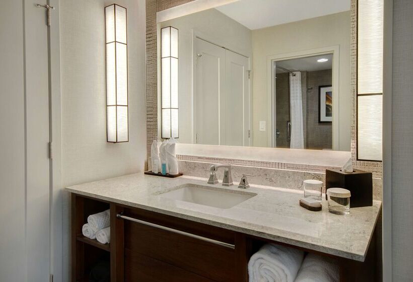 هتل Embassy Suites By Hilton Detroit Metro Airport