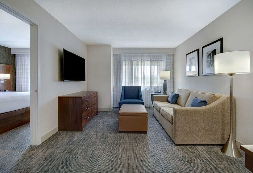 هتل Embassy Suites By Hilton Detroit Metro Airport