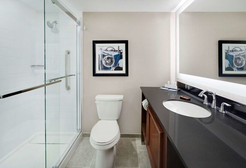 בית מלון כפרי Embassy Suites By Hilton Detroit Troy Auburn Hills