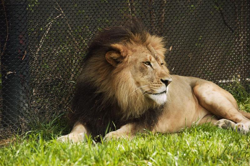 هتل Four Points By Sheraton Little Rock Midtown