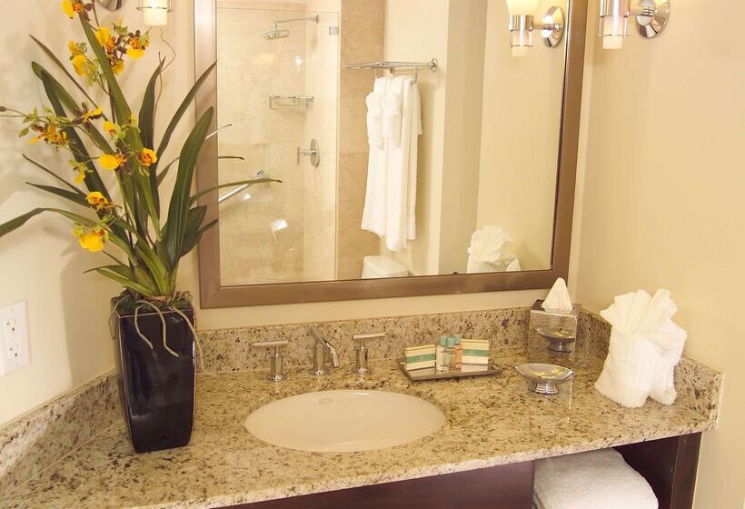 هتل Galleryone Doubletree Hilton Gc Turtle Cove