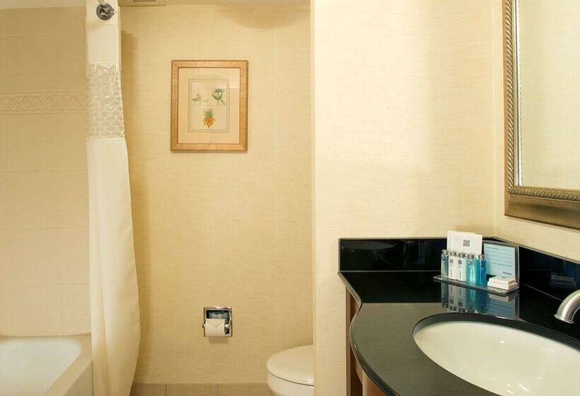 هتل Hampton Inn Alexandria/pentagon South