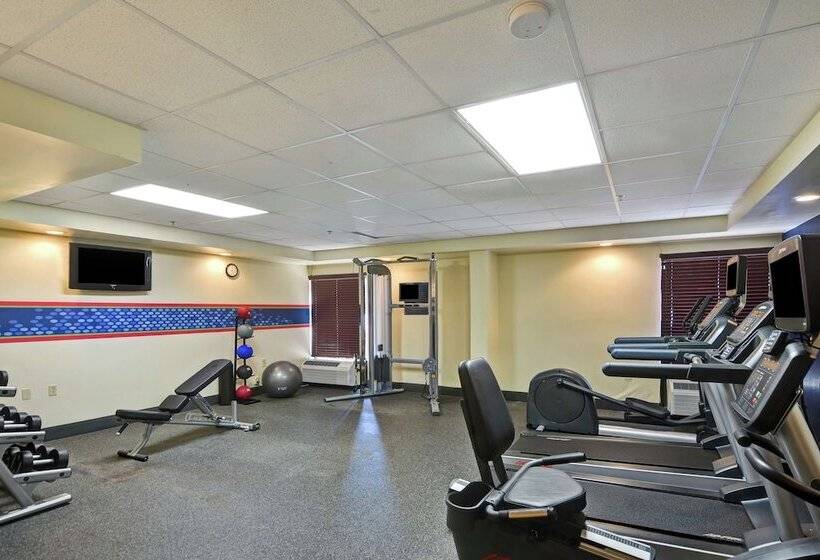 فندق Hampton Inn Columbia I26 Airport