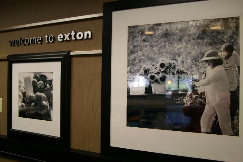 ホテル Hampton Inn Downingtown/exton
