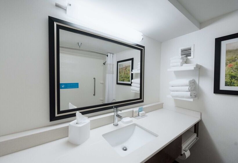 فندق Hampton Inn Meridian