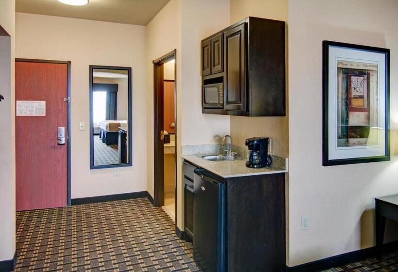 Holiday Inn Express Hotel & Suites Paris, An Ihg