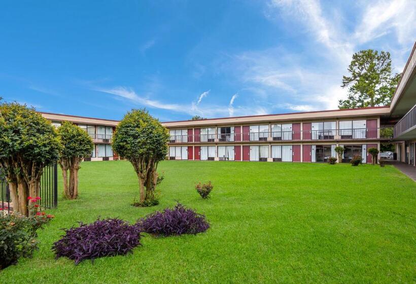 فندق Horizon Inn & Suites