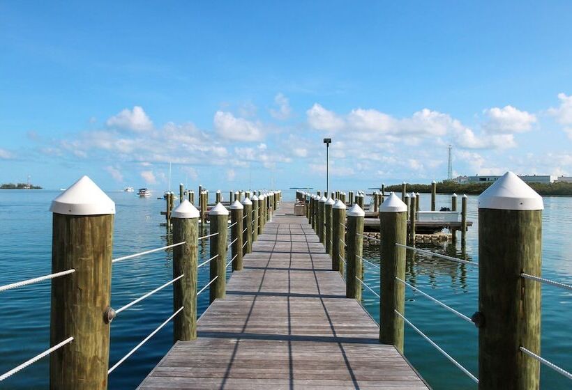 فندق Beachside Resort & Residences