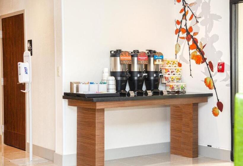 هتل Mainstay Suites Springfield Il