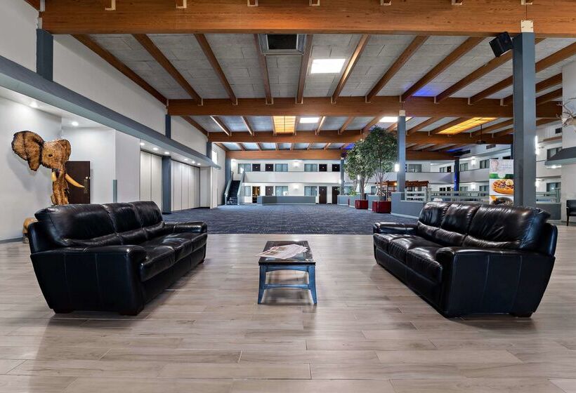 فندق Quality Inn & Suites