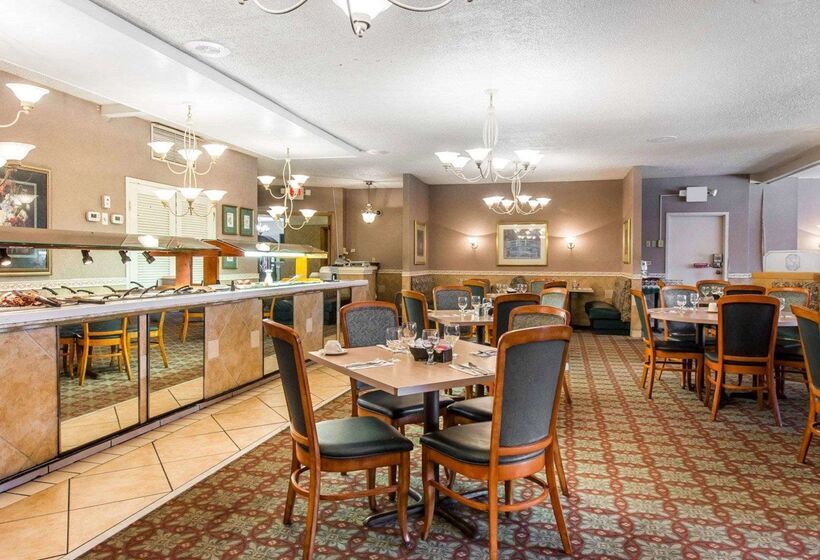 호텔 Quality Inn & Suites