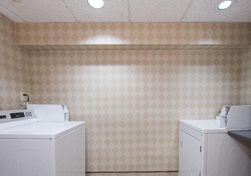 בית מלון כפרי Red Roof Inn Hartford  New Britain