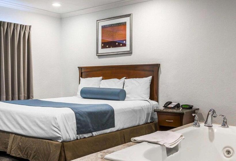 ホテル Rodeway Inn & Suites Pacific Coast Highway