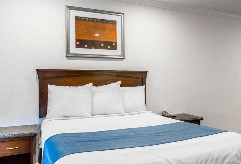ホテル Rodeway Inn & Suites Pacific Coast Highway