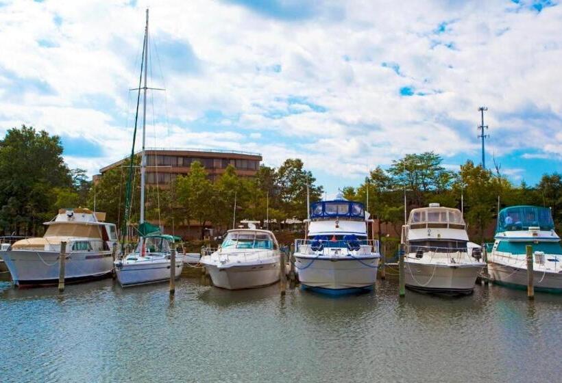 ホテル Solomons Inn Resort & Marina