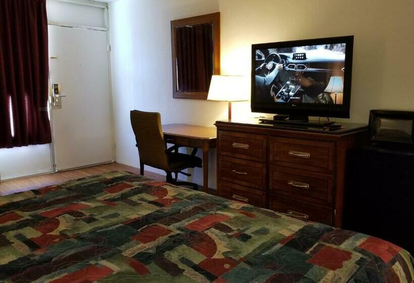 בית מלון כפרי University Inn