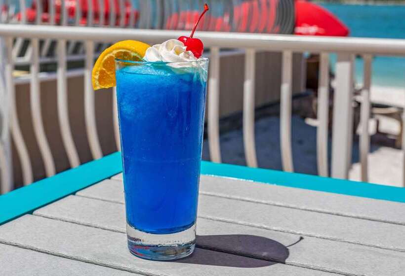 Winter The Dolphin S Beach Club, Ascend Hotel Collection