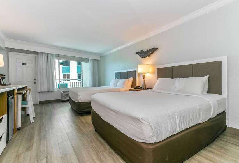 Winter The Dolphin S Beach Club, Ascend Hotel Collection