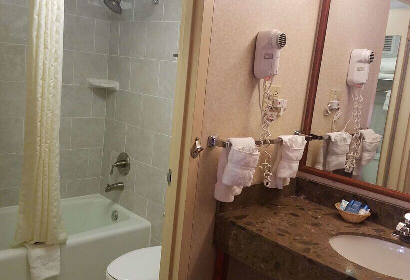 酒店 Best Western Fairfax City