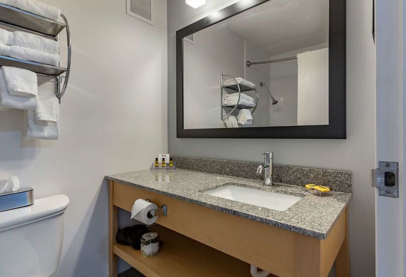 فندق Best Western Plus University Inn