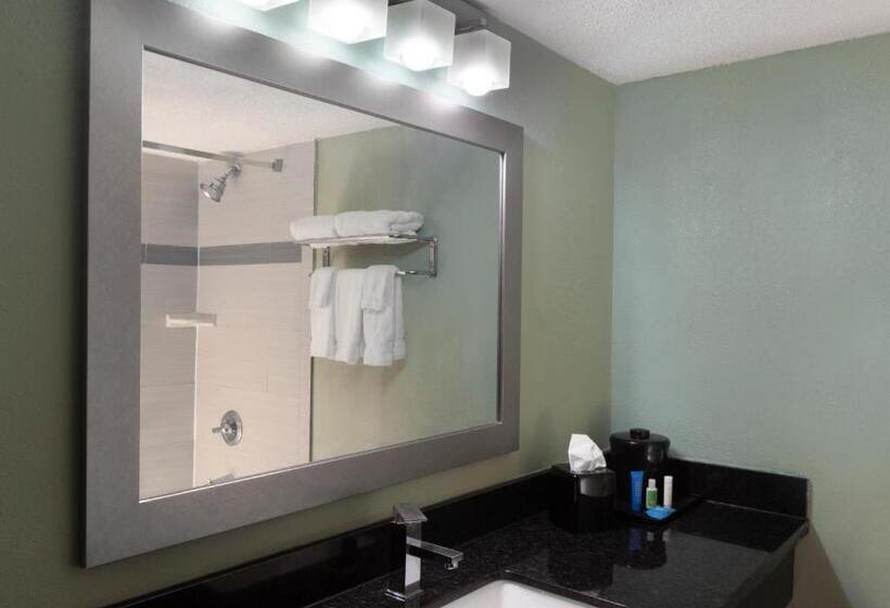 هتل Holiday Inn Corpus Christi Arpt & Conf Ctr, An Ihg