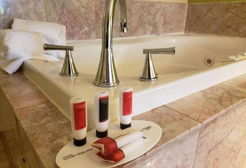 هتل Days Inn By Wyndham Asheville/mall