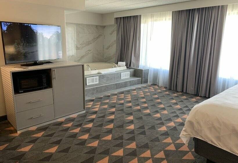 酒店 Holiday Inn Chicago Nw Crystal Lk Conv Ctr, An Ihg